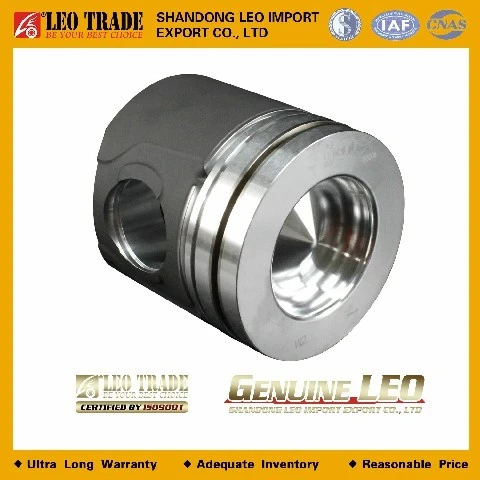 LEO100145A
