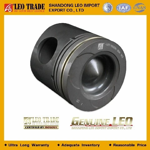 LEO100023A
